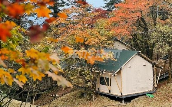 Site de glamping Safari