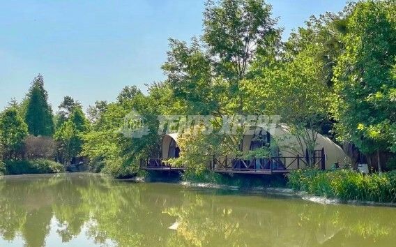 Terrain de glamping à la ferme