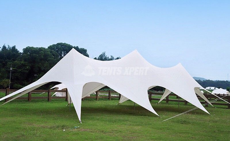 freeform stretch tents