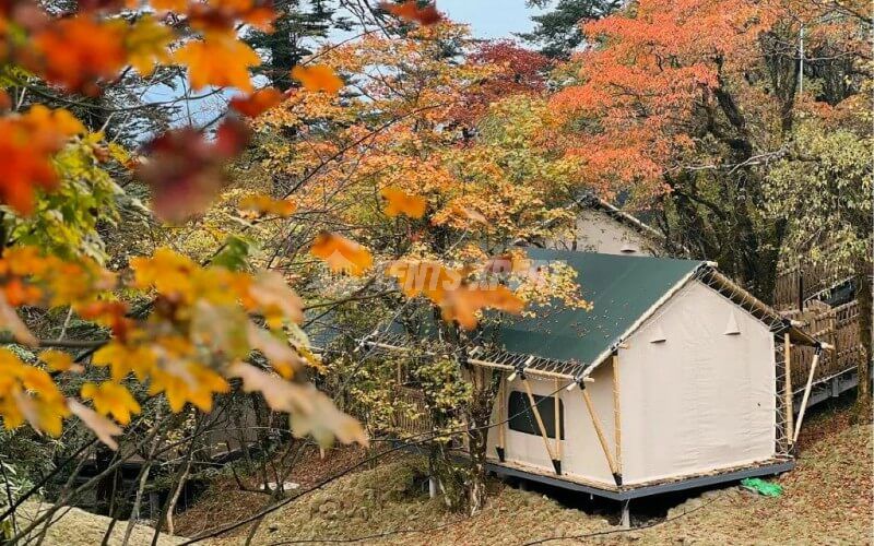 Safari Glamping Site