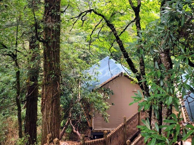 Site de glamping Safari 03