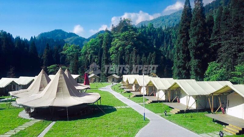Site de glamping forestier