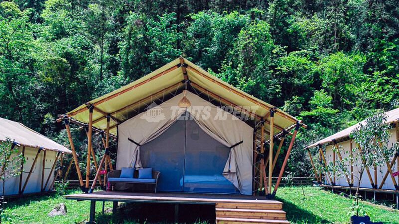 Site de glamping forestier