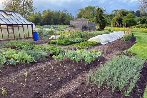 garden land