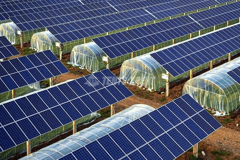Renewable Energy: solar energy