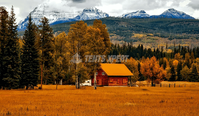 Cottage in a forest Cottage in a forest